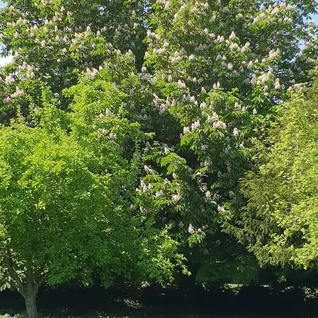 Σπίτι διακοπών Chaumiere De Charme Normandie *